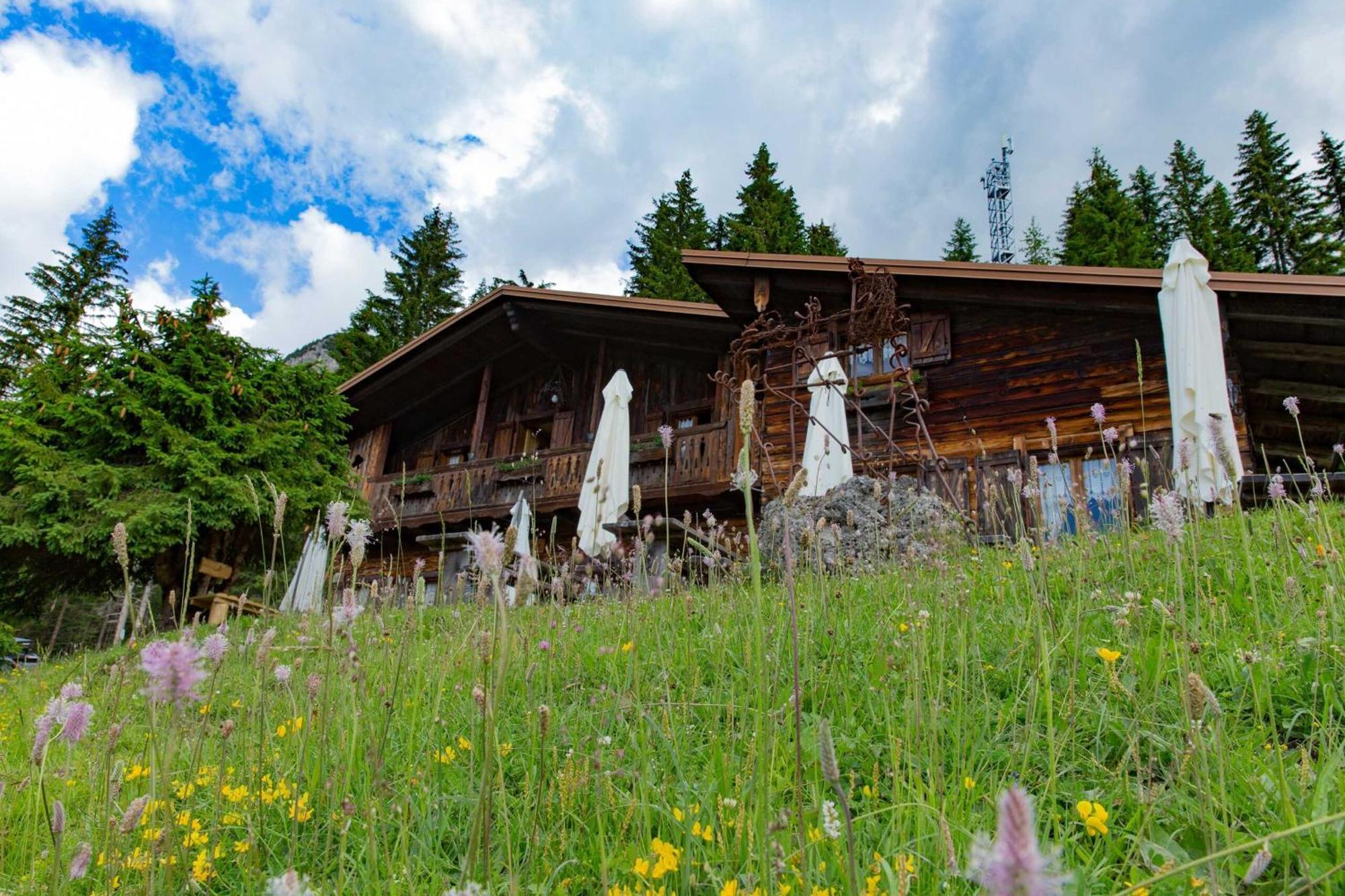 Rifugio Forcella Zovo Hotel San Pietro di Cadore Exterior photo